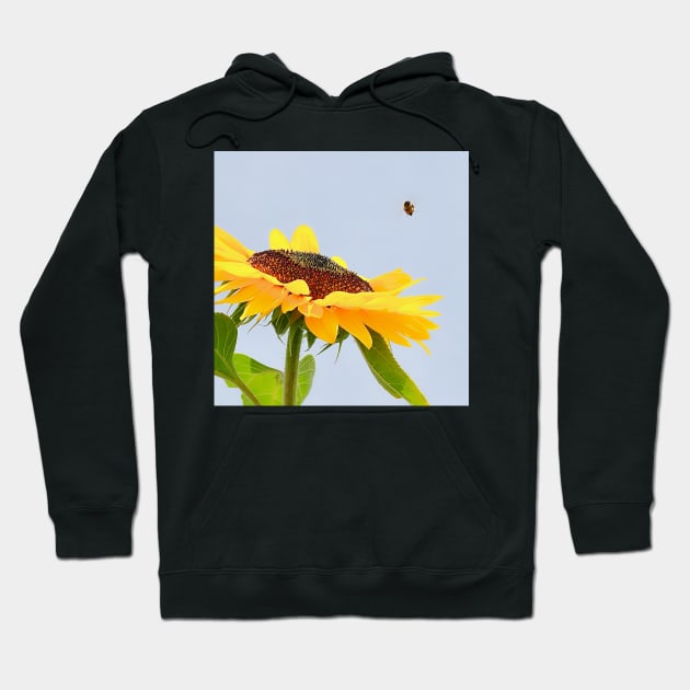 Vibrant Yellow Sunflower and Bee Different Angle Hoodie by DesignMore21